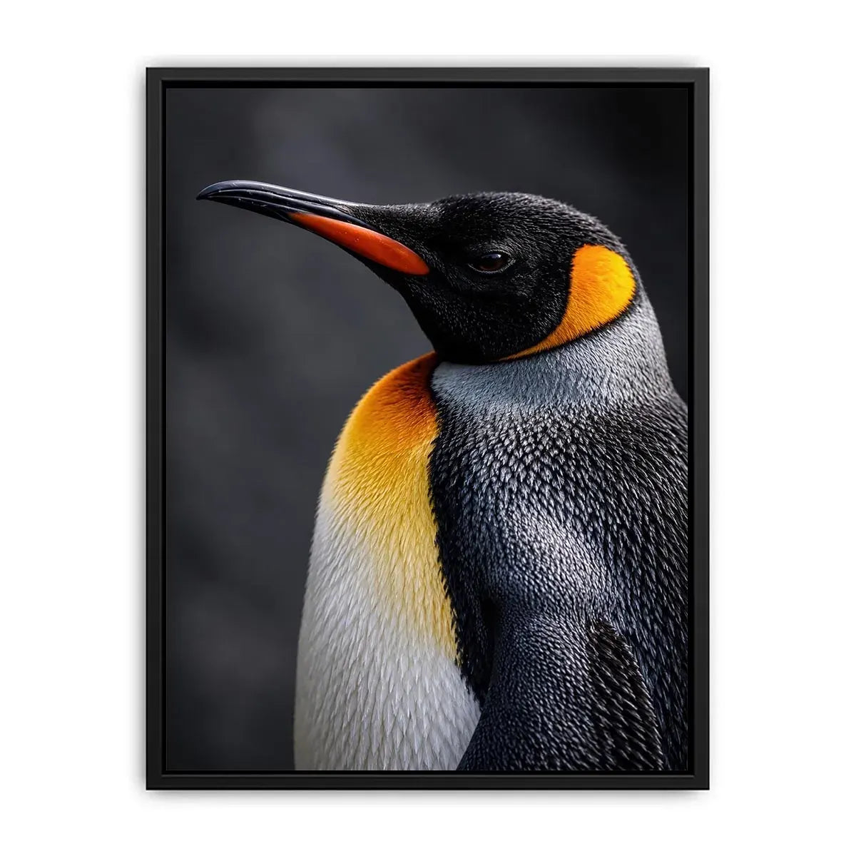 King penguin portrait canvas print for clean modern bedroom decor.