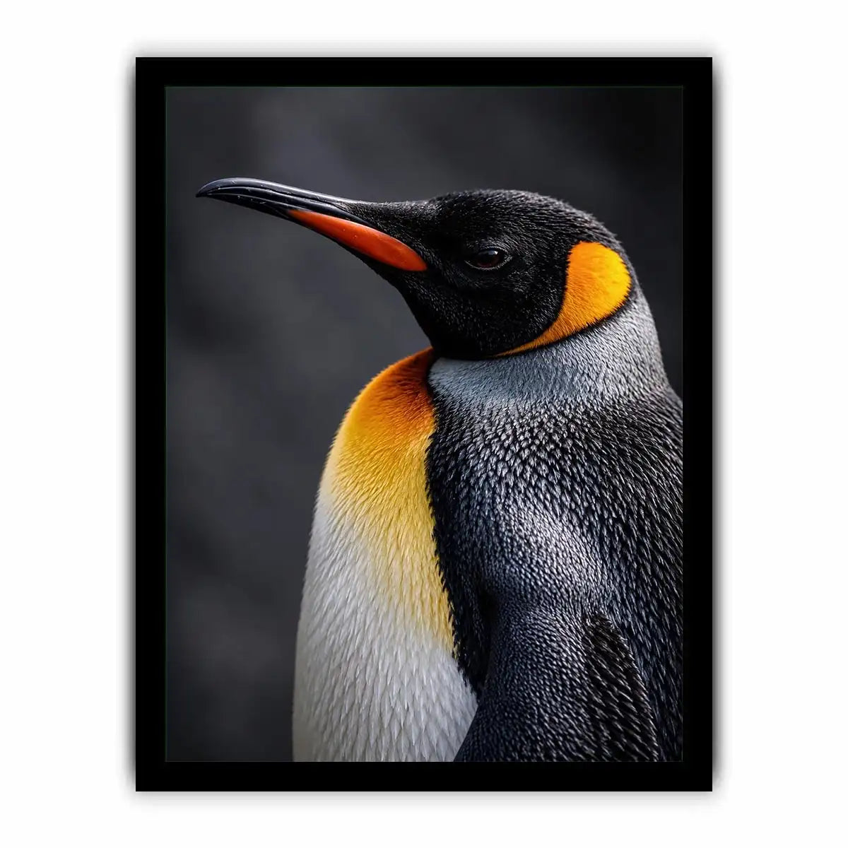 King penguin portrait canvas print for clean modern bedroom decor.