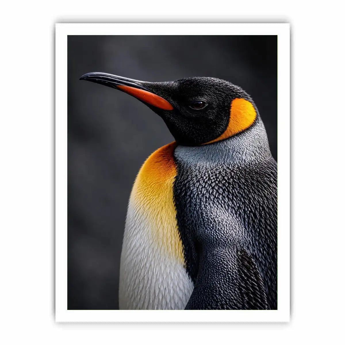 King penguin portrait canvas print for clean modern bedroom decor.