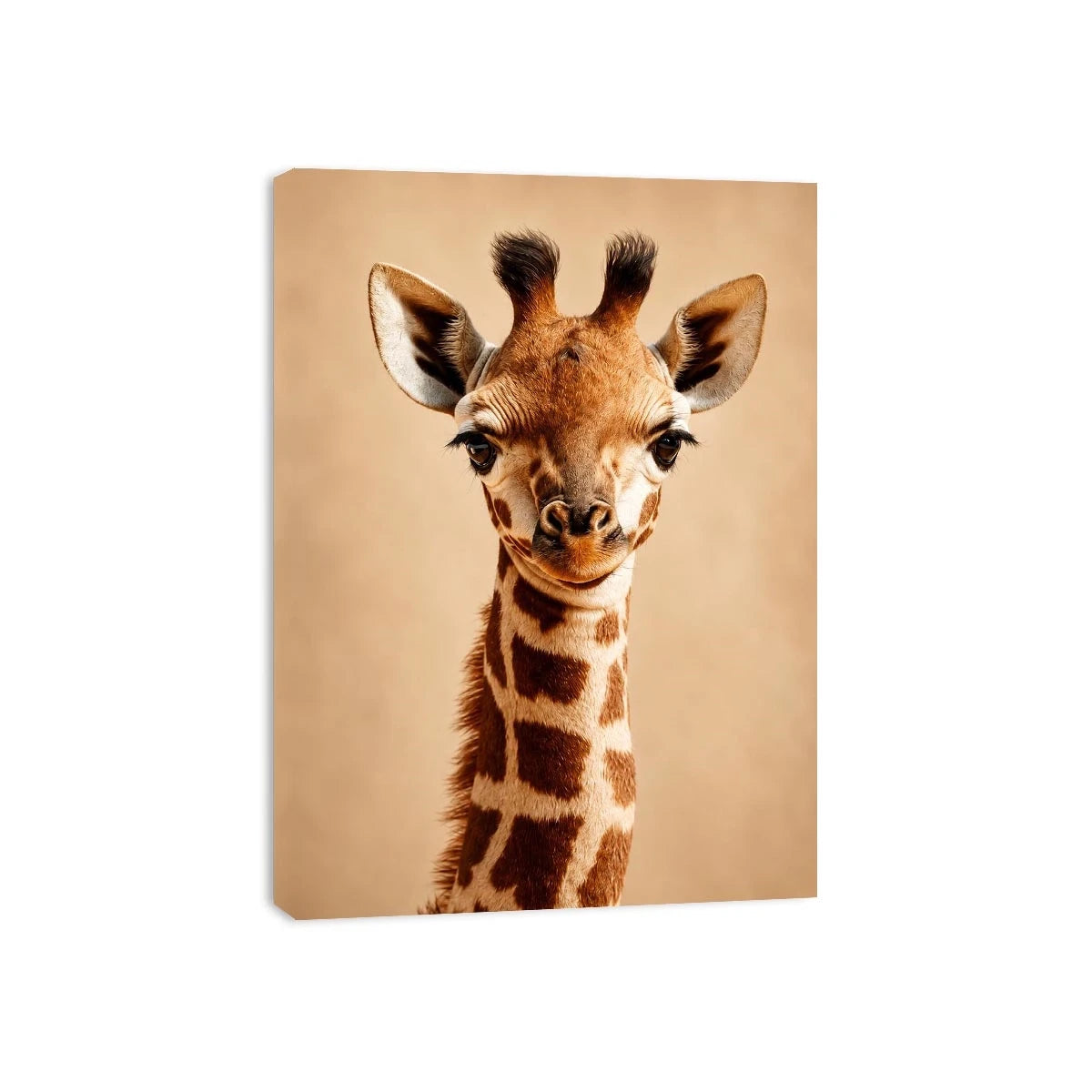 Cute giraffe animal canvas art for nursery and modern kids room decor.