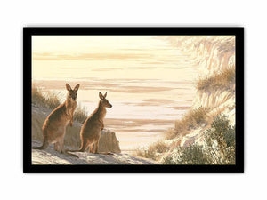Coastal kangaroo wildlife canvas art for beach house or modern living room decor.