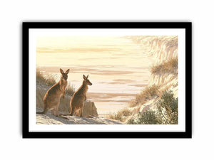Coastal kangaroo wildlife canvas art for beach house or modern living room decor.