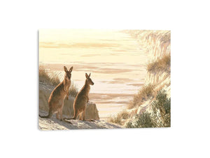 Coastal kangaroo wildlife canvas art for beach house or modern living room decor.