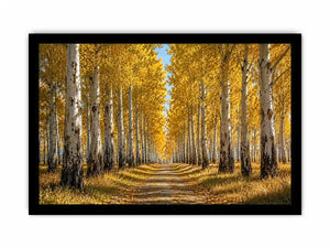 Golden autumn birch forest canvas art for warm hallway and living room decor.