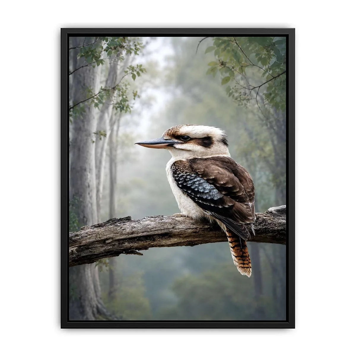 Kookaburra bird canvas art in misty forest for modern living room decor.