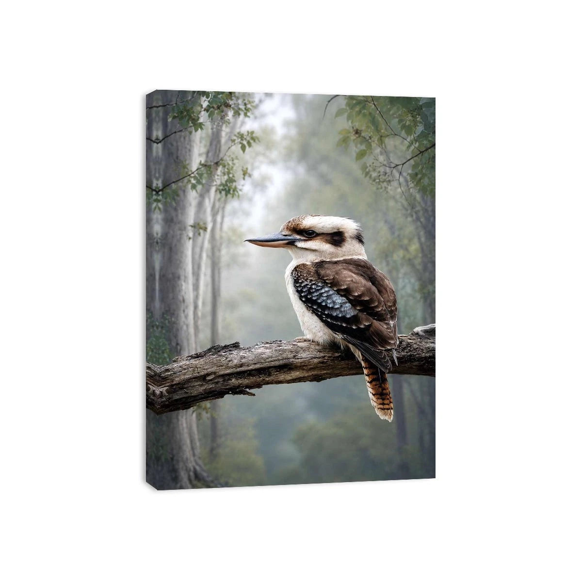 Kookaburra bird canvas art in misty forest for modern living room decor.