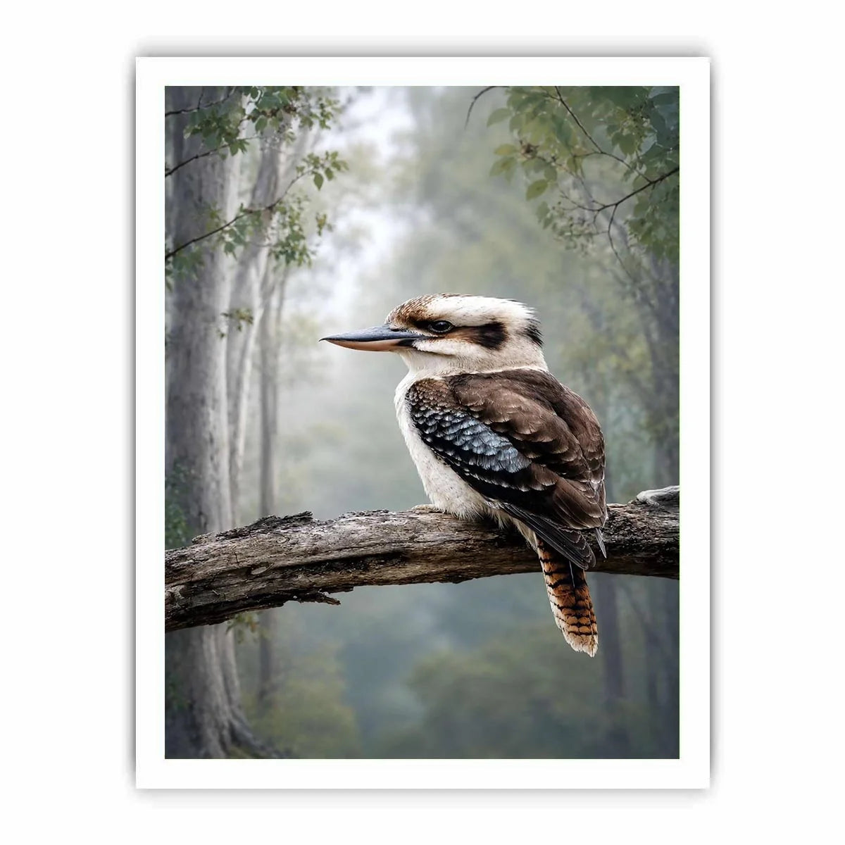 Kookaburra bird canvas art in misty forest for modern living room decor.