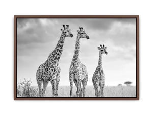 Black and white giraffe canvas art for modern living room decor.