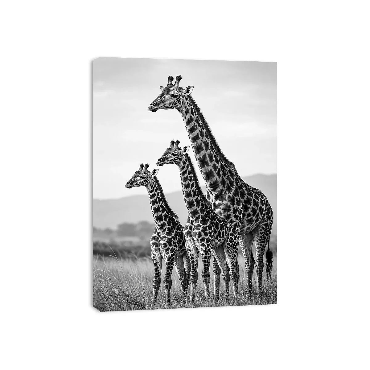 Vertical black and white giraffe family canvas art for hallway decor.