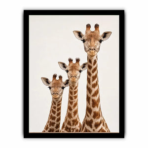 Square giraffe trio canvas art for nursery and kids room decor.