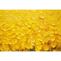 Vibrant Yellow Oil Painting