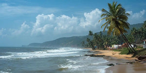 Tropical beach canvas art with palm trees, rolling surf and distant green hills.