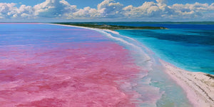 Pink lake and turquoise ocean canvas art for colorful modern home decor.