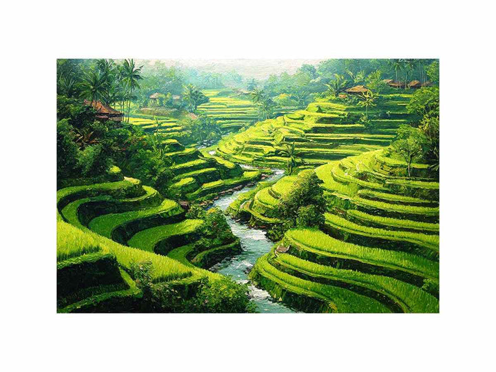 Rice Terrace paddy  bali