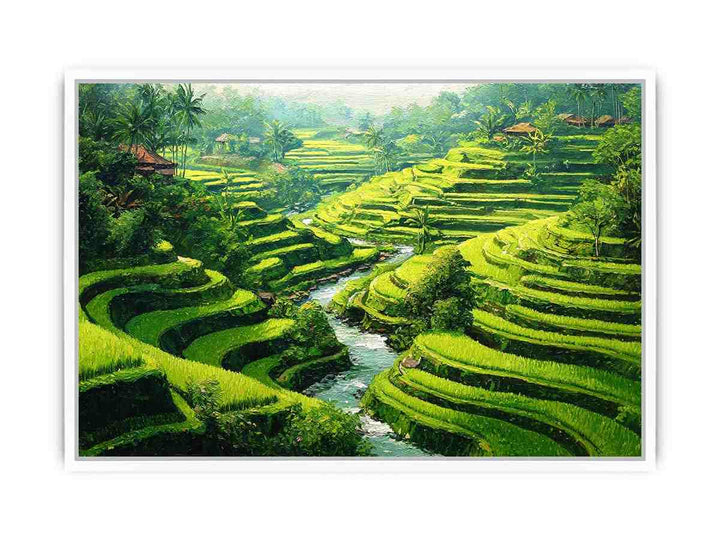 Rice Terrace paddy  bali Framed Print