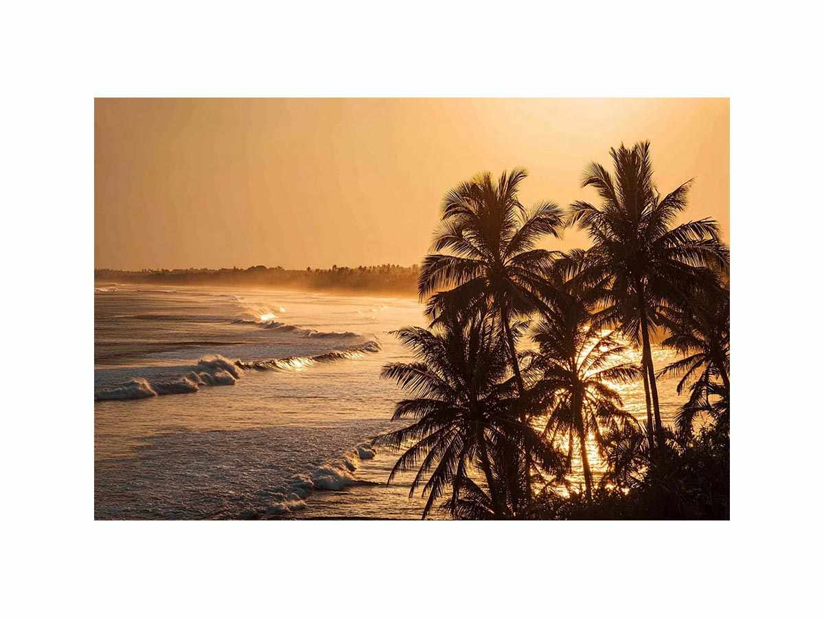 Blai Golden  Sunrise
