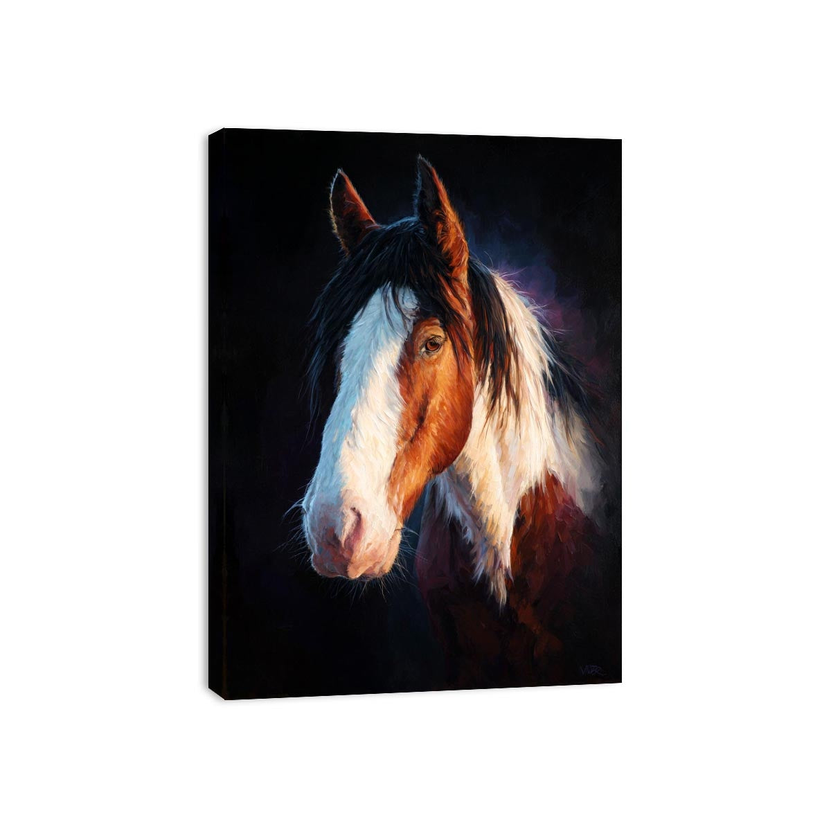 Modern Horse Art Painting  Framed Print