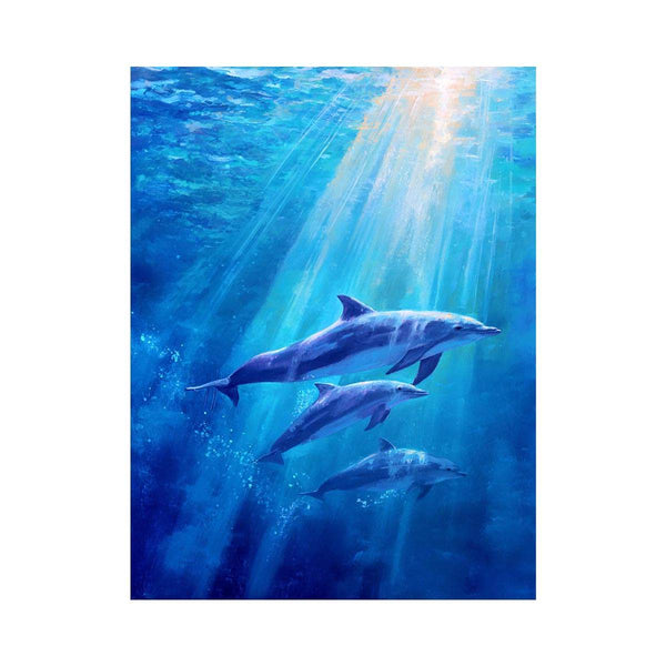 Dolphin Underwater