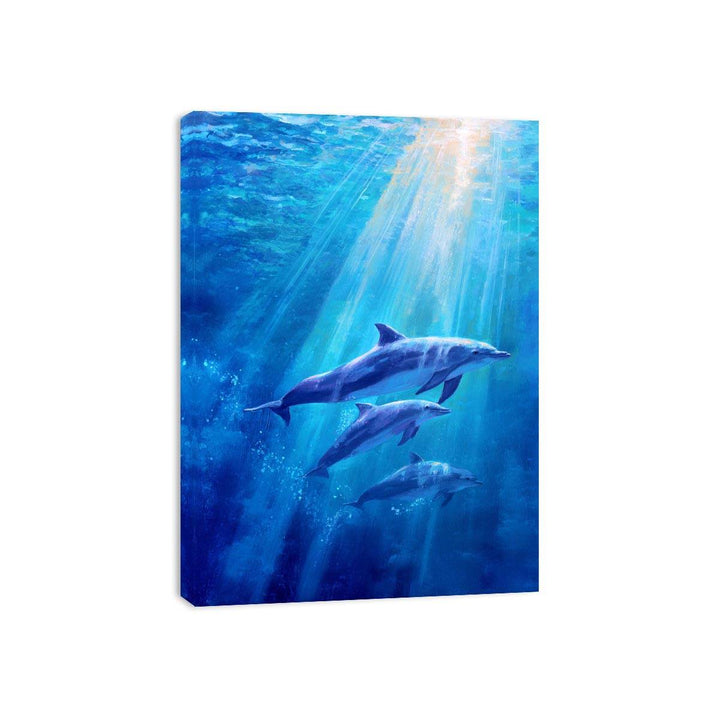Dolphin Underwater Painting