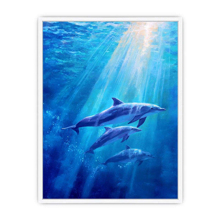 Dolphin Underwater Framed Print