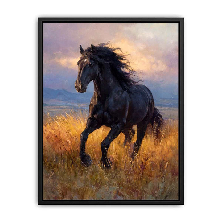 Black  horse  Canvas Print
