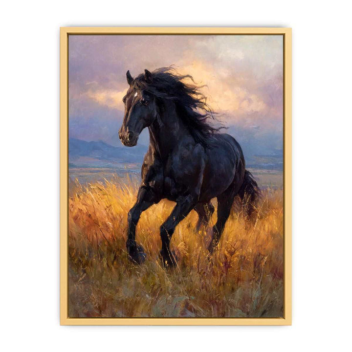 Black  horse Streched canvas