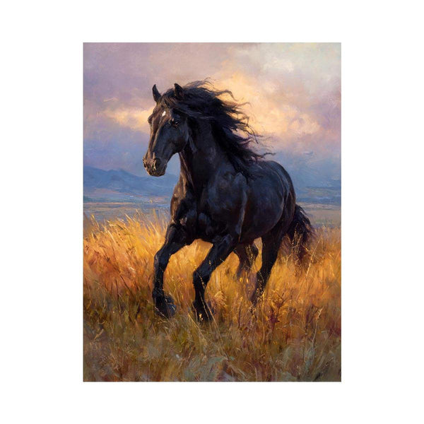 Black  horse