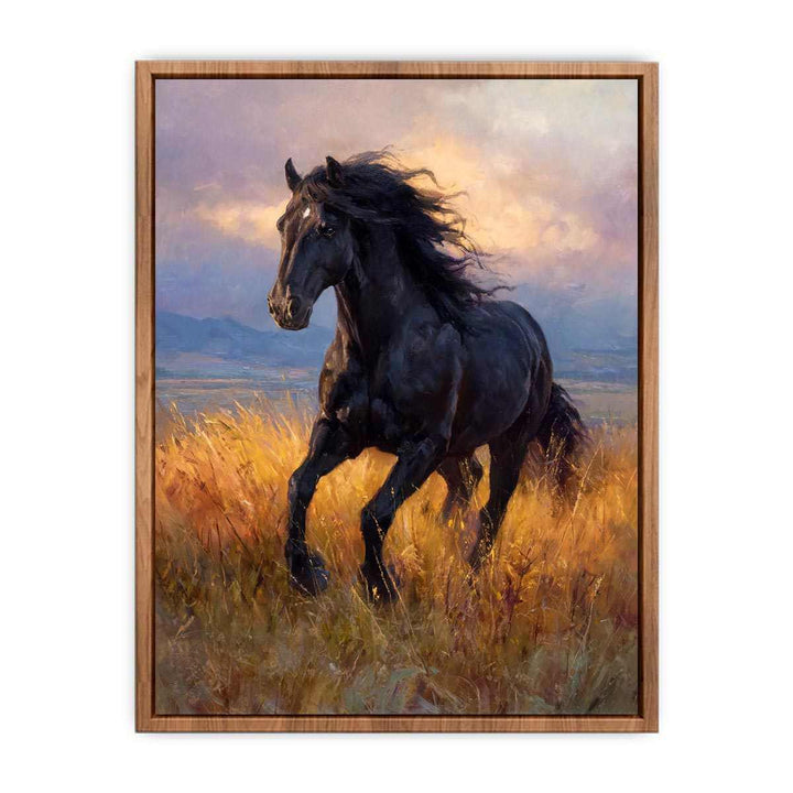 Black  horse Poster