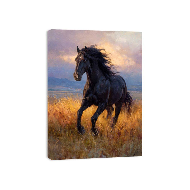 Black  horse Painting