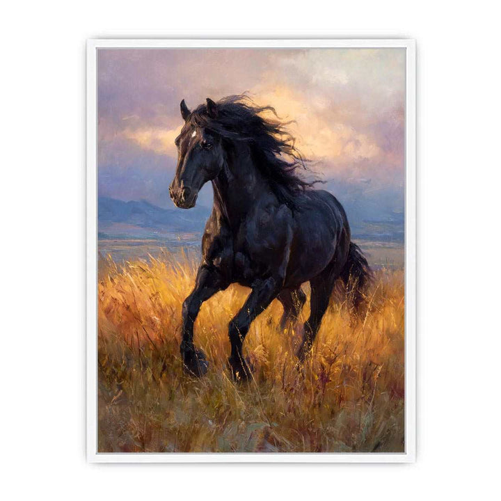 Black  horse Framed Print