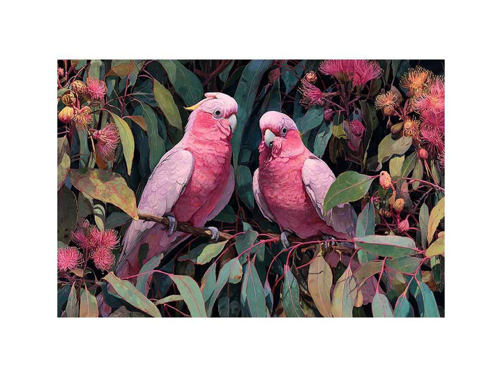 Galahs