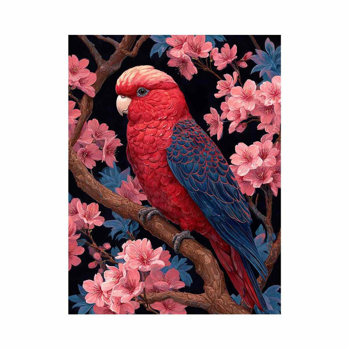Red Cockatoo