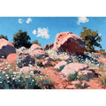 Desert landscape