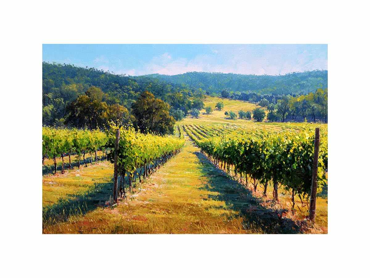Vine Yards