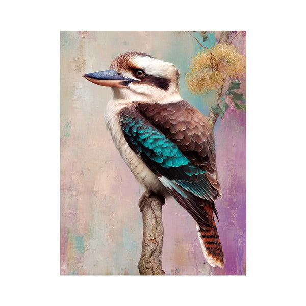 Colorfull kookaburra