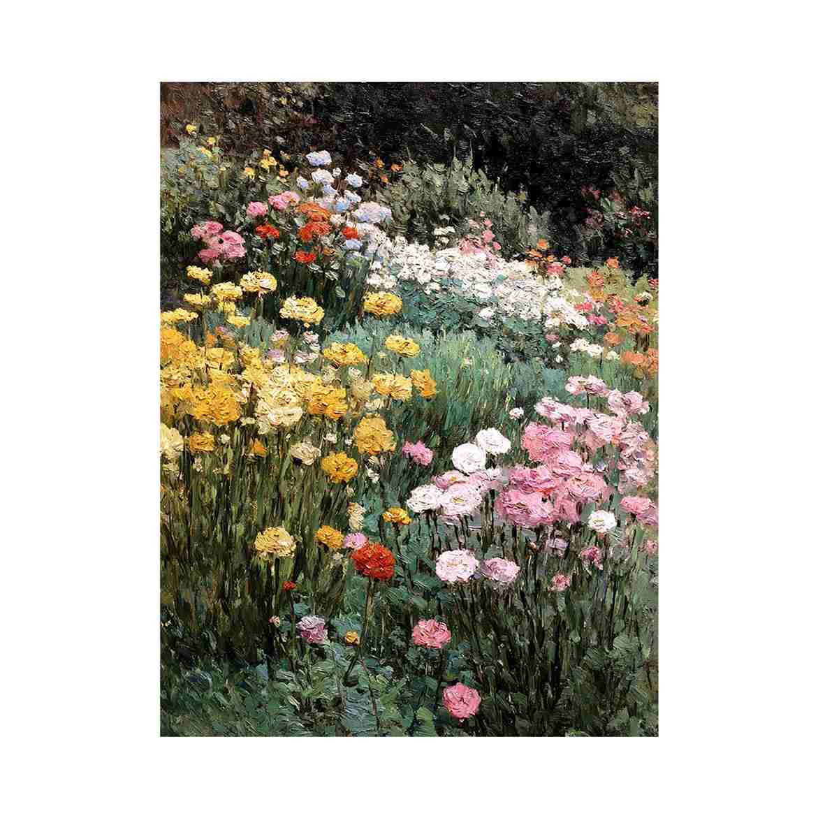 Country Blooms