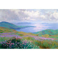 Irish landscape