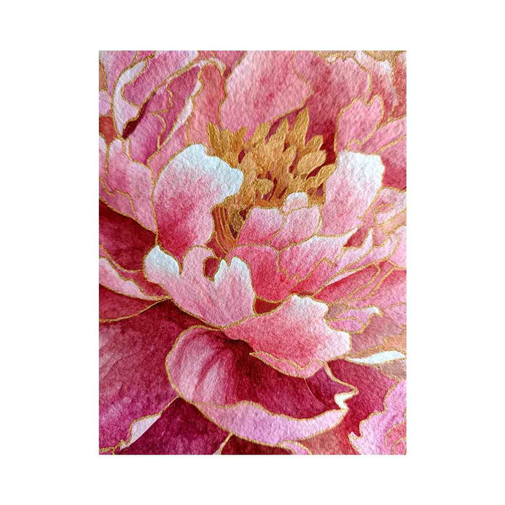 Peony Flower coloseup