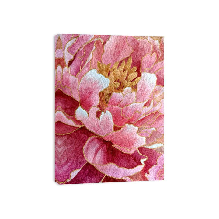 Peony Flower coloseup Framed Print