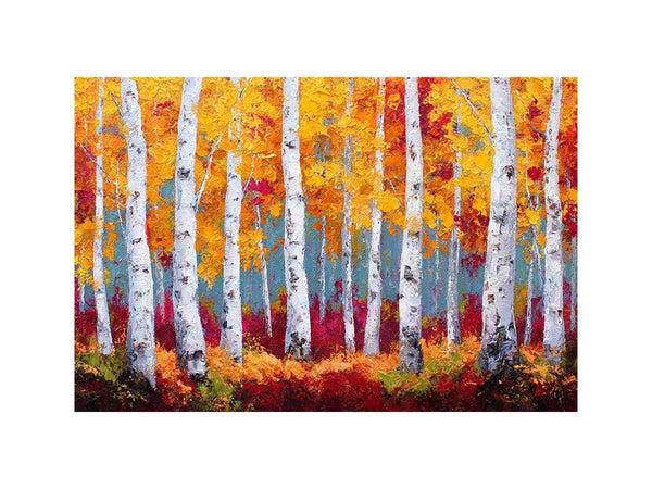 Birchtrees  in autumn