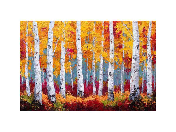Birchtrees  in autumn
