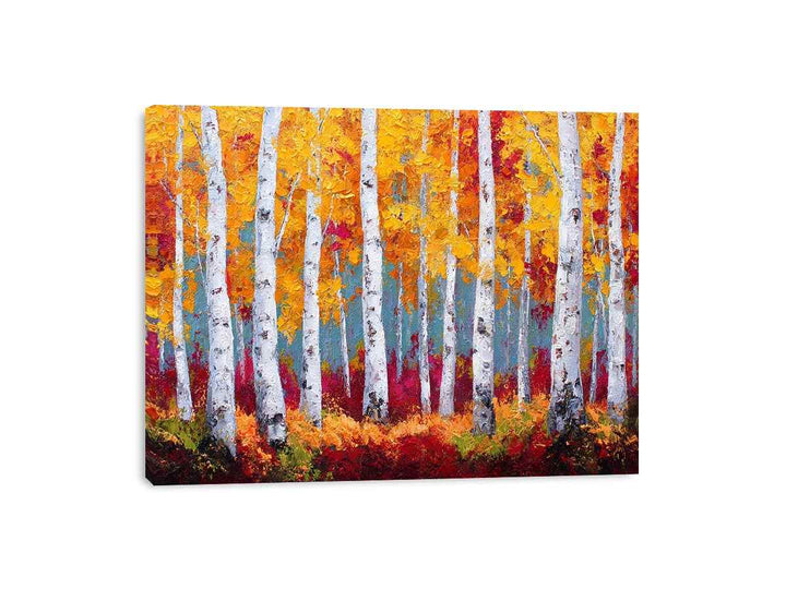 Birchtrees  in autumn Framed Print