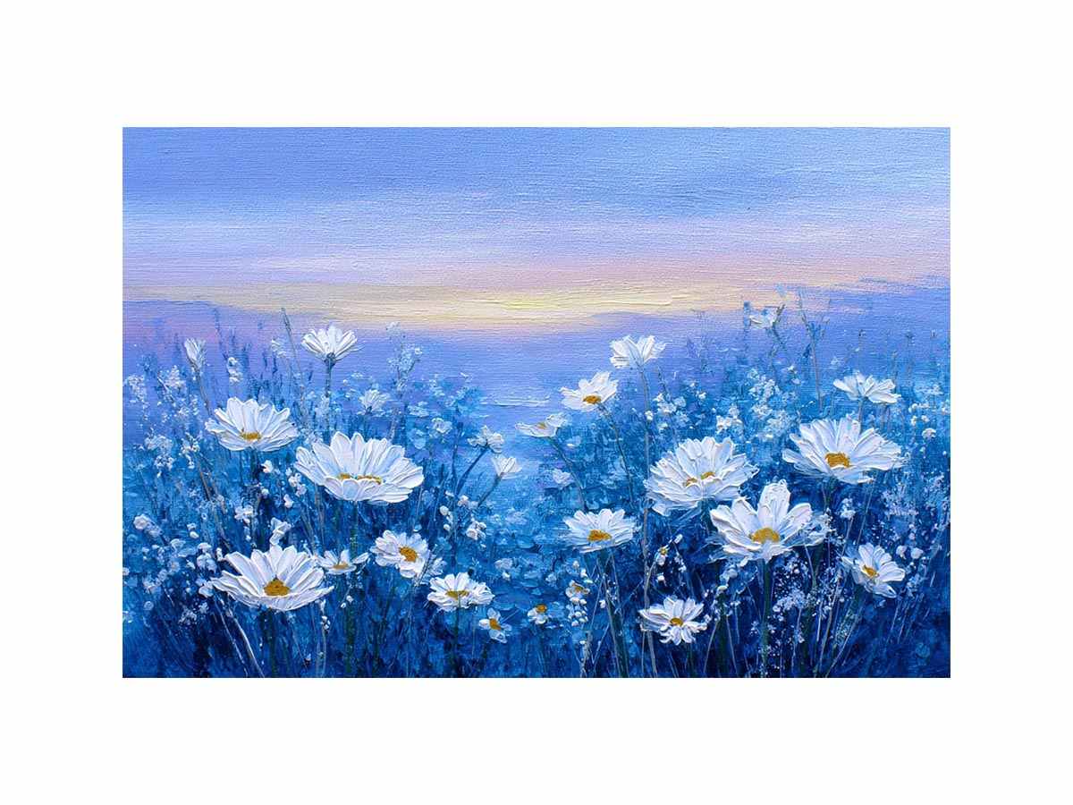 Blue Feild of Dasies