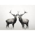 Stags
