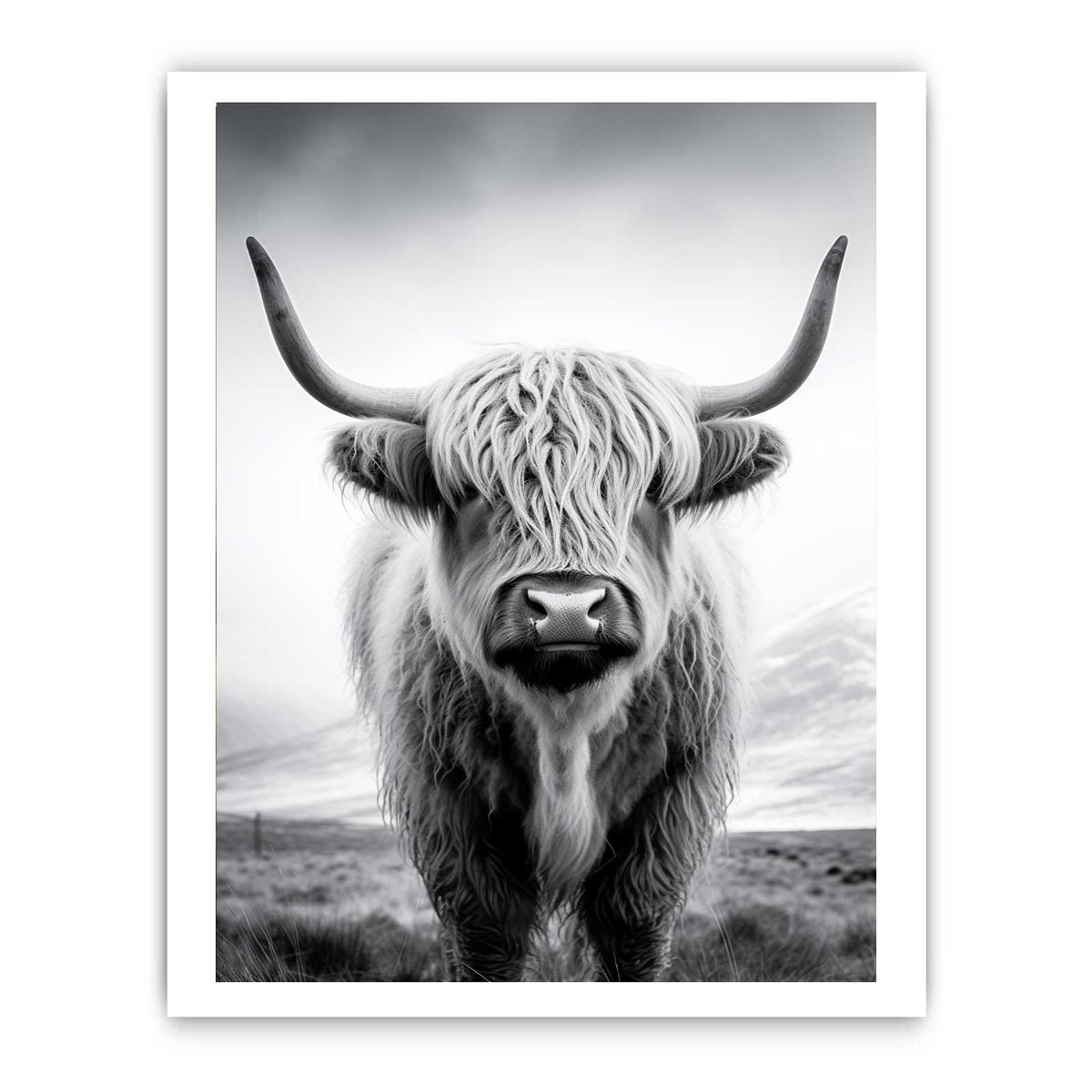 Black and white Highland cow canvas art for rustic farmhouse living room decor.