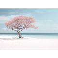 Silver Beach  