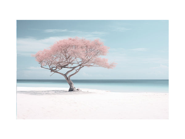 Silver Beach  