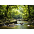 River In Rainforest  
