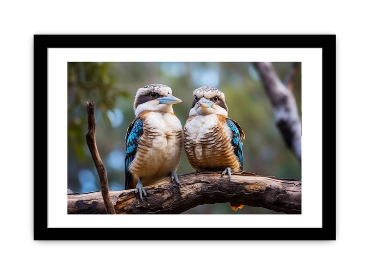 Framed Print