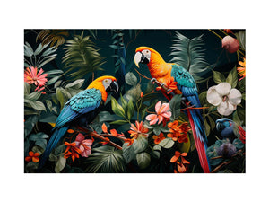  Birds Tropical  
